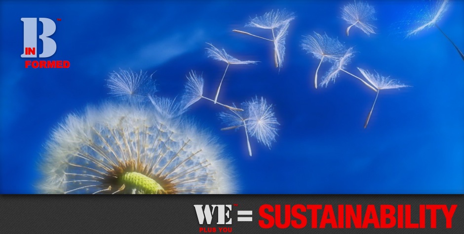 Be Informed_Sustainable Change_We Plus You Wequals Sustainability_photo of dandelion with seeds blowing into the wind