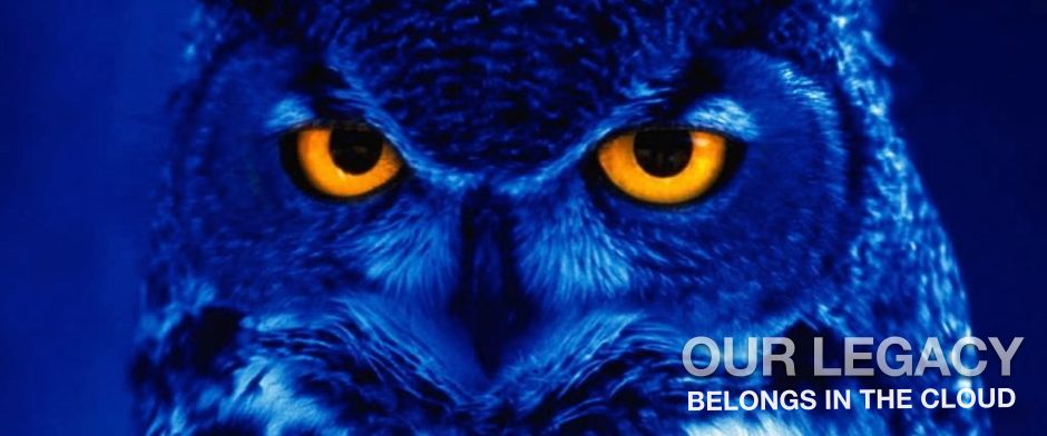 Be Involved_Contribute Content_Our Legacy Belongs in the Cloud_close up photo of great  horned owl at dusk with glowing golden eyes looking directly into camera