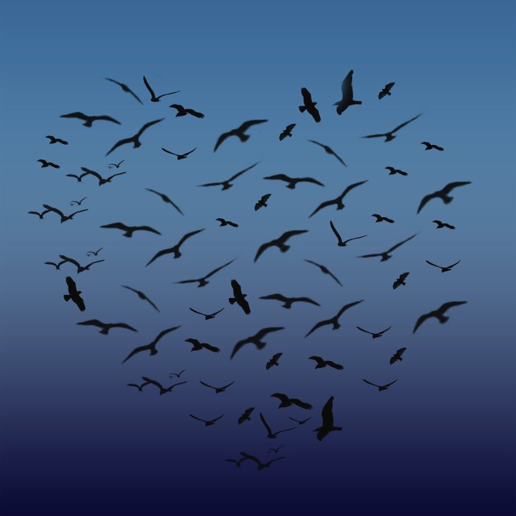 Be Iformed_Story Stick Tutorial_photo of a flock of birds in the shape of a heart in the sky at dusk