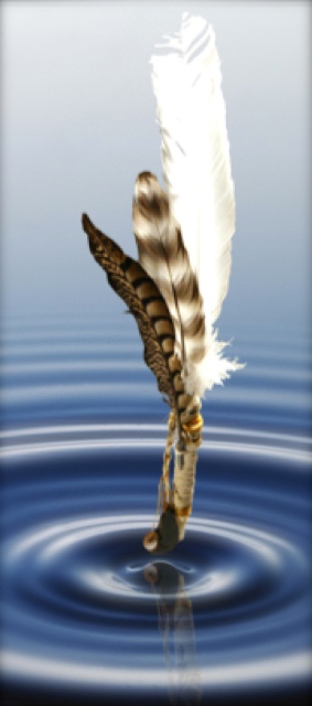 Be Informed_Story Stick Tutorial_photo of story stick hovering over a water ripple